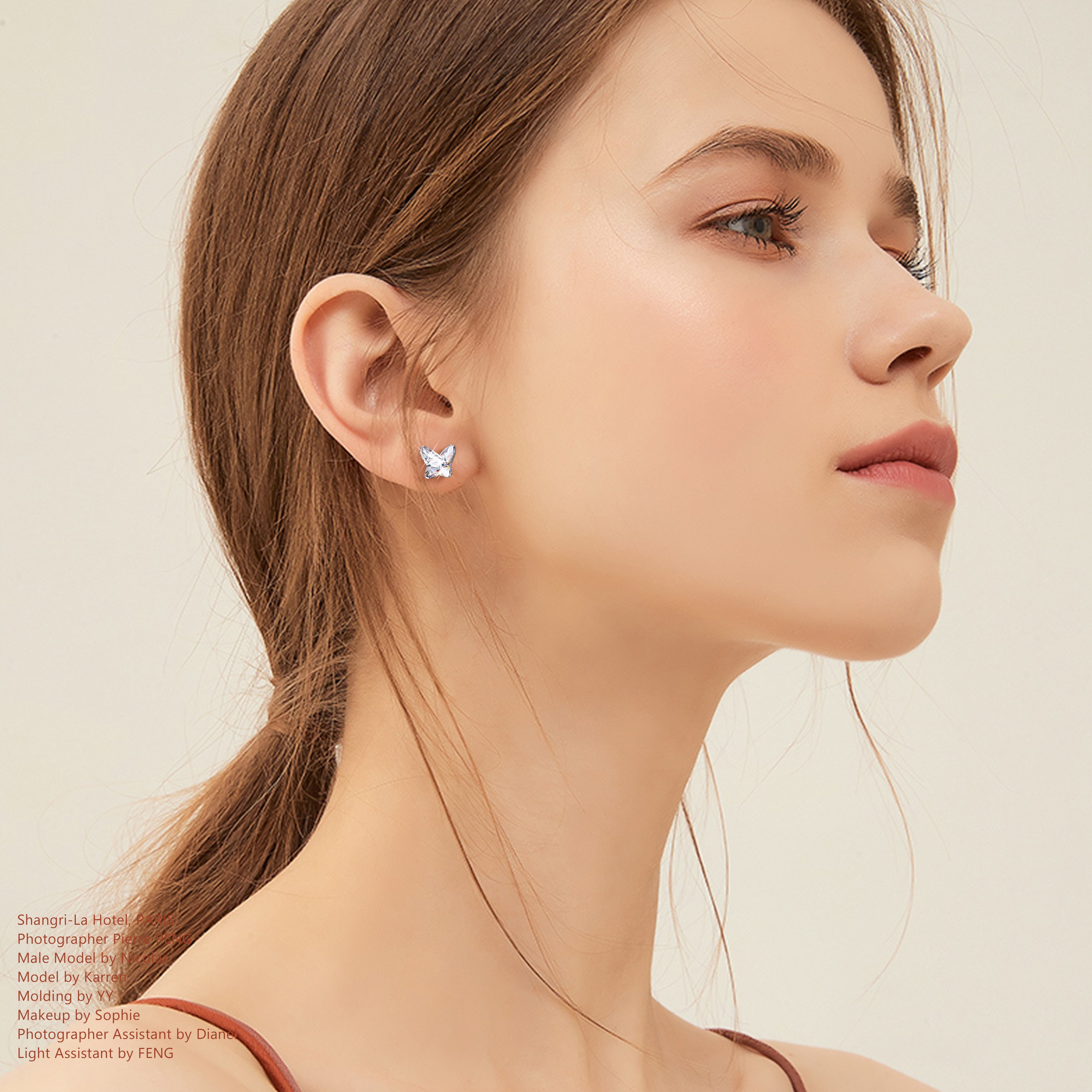 Clear Butterfly Crystal Stud Earrings